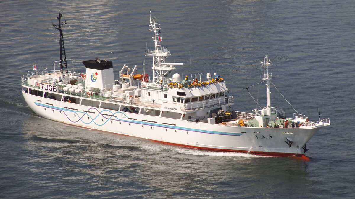 Shipboard environment for ECDIS and marine UPS systems